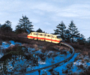 ��üɽ����۹��г�