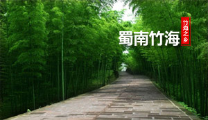蜀南竹海2日游